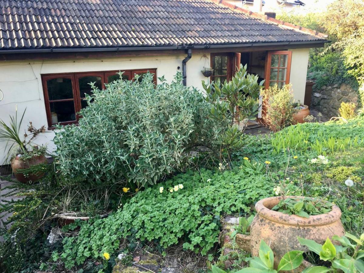 Secret Garden Cottage Έξετερ Εξωτερικό φωτογραφία