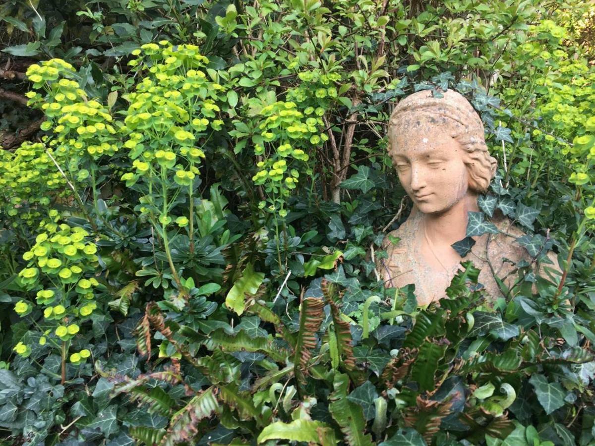 Secret Garden Cottage Έξετερ Εξωτερικό φωτογραφία