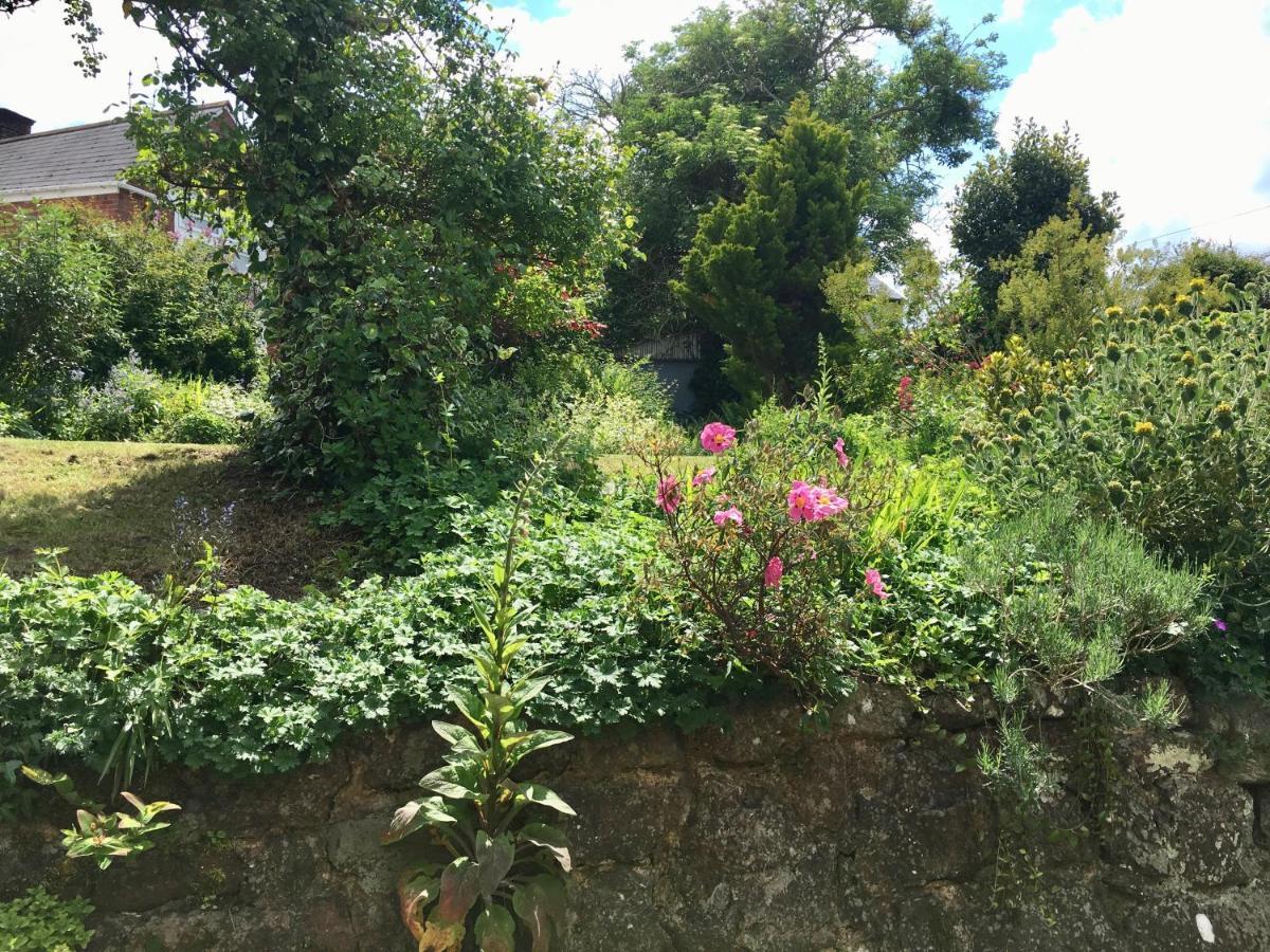 Secret Garden Cottage Έξετερ Εξωτερικό φωτογραφία